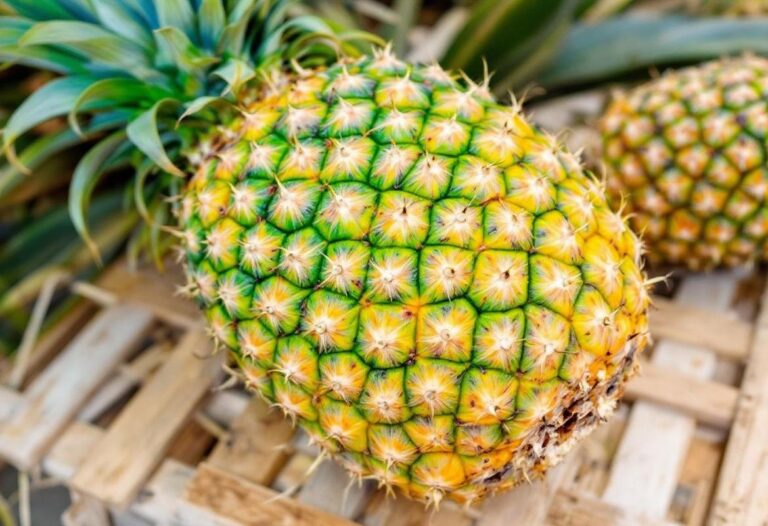 Planter un ananas chez soi : guide étape par étape